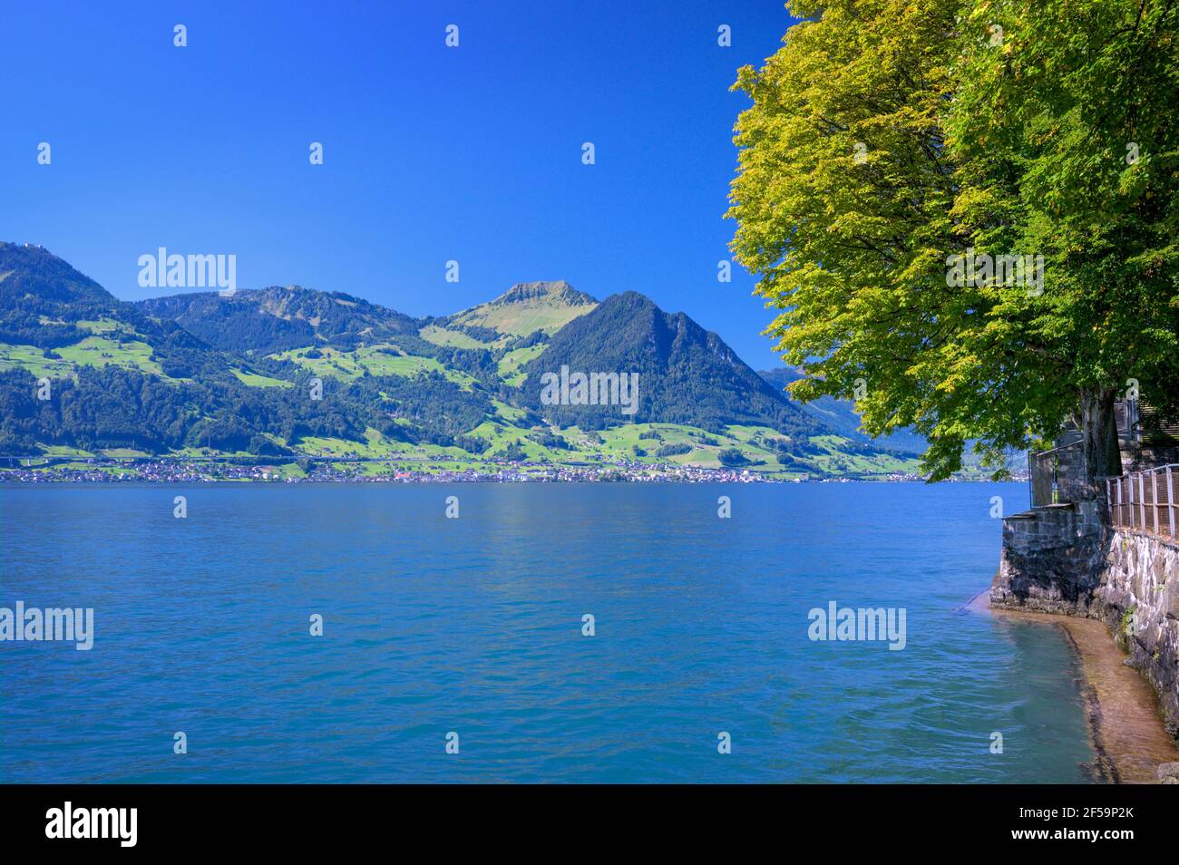 Vista panoramica sul Vierwaldstattensee, Svizzera Foto Stock