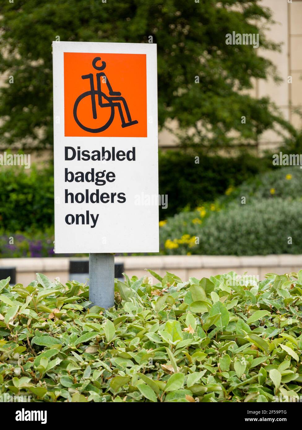 Un cartello per disabili Badge Holders solo nel parcheggio presso il centro commerciale Mall a Cribbs Causeway vicino a Bristol, Inghilterra. Foto Stock