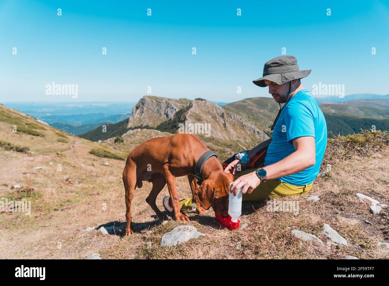 L'escursionista dà acqua al suo cane quando riposano dentro montagna Foto Stock