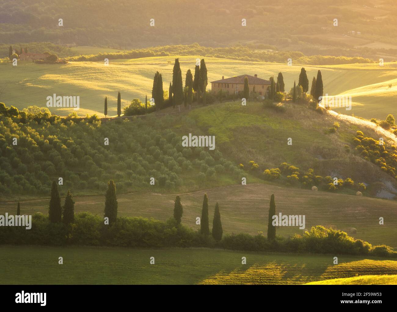 Magnifico paesaggio primaverile all'alba.splendida vista della tipica casa colonica toscana, verdi colline ondulate, cipressi alberi, luce magica del sole, bella andare Foto Stock