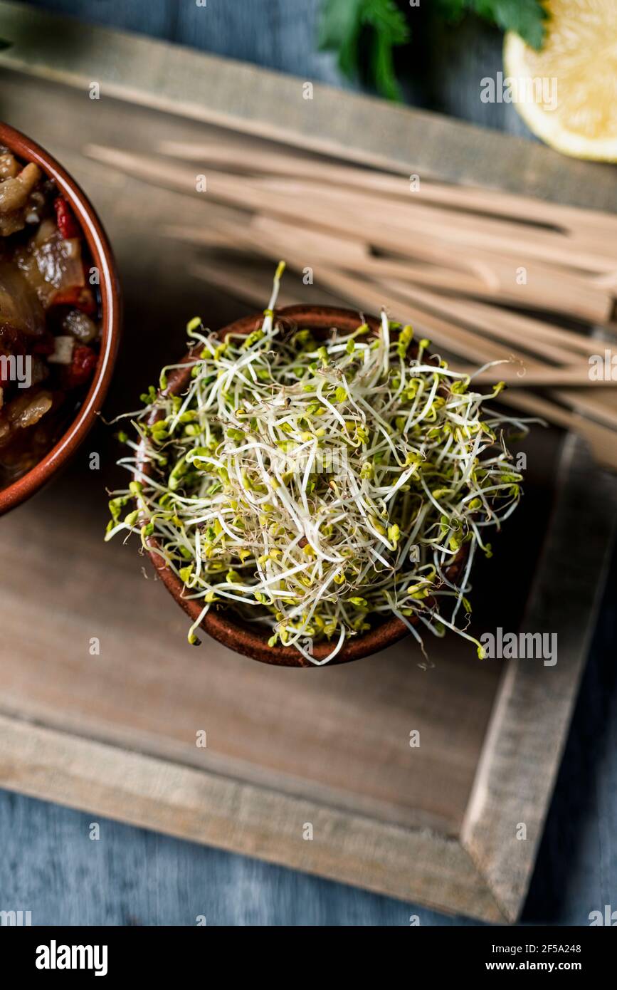 vista ad alto angolo di alcuni semi di kale germogliati in una ciotola di terracotta e alcuni spiedini di bambù su un tavolo accanto ad una ciotola con qualche escalivada, un catalano s. Foto Stock