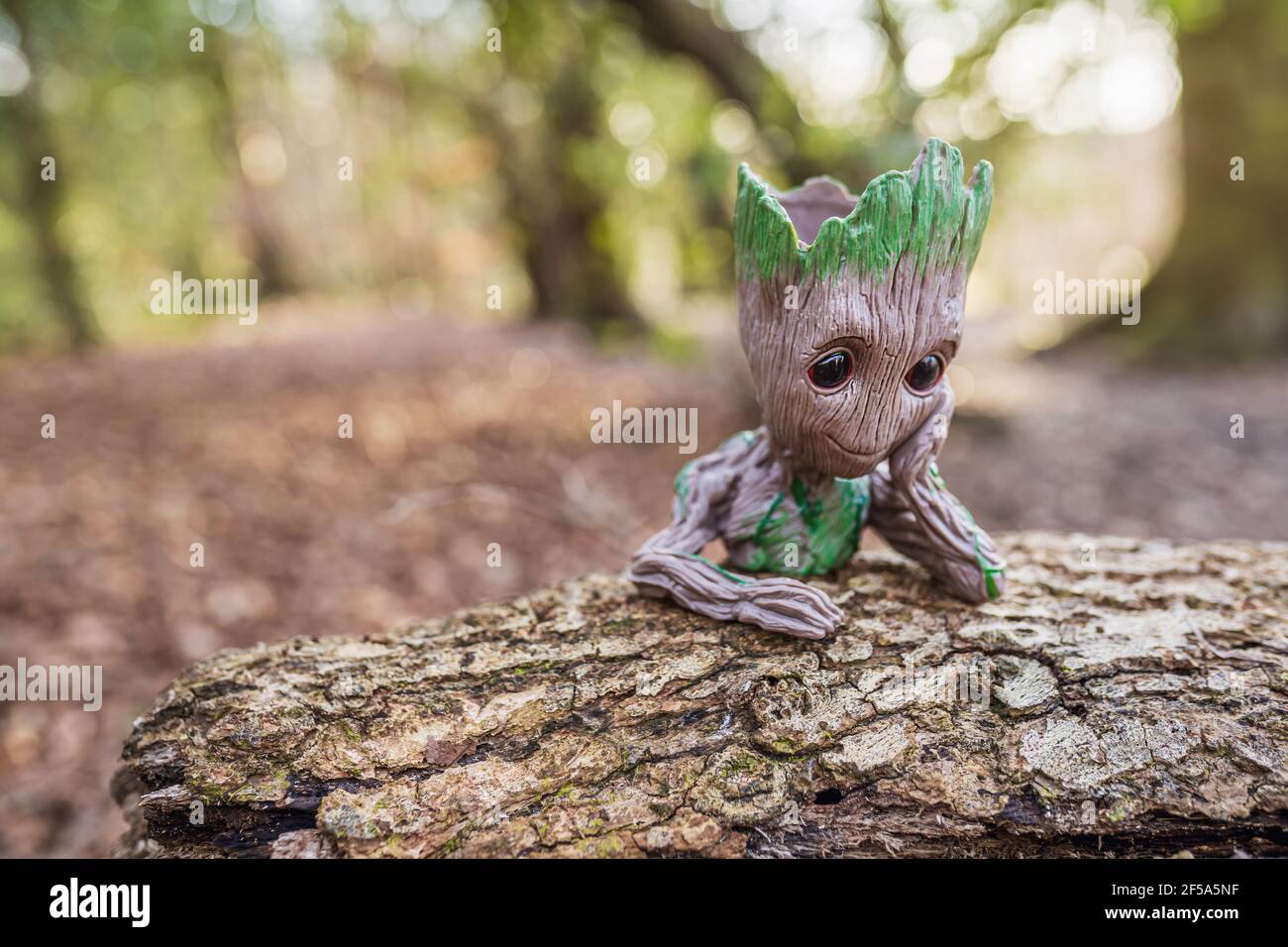 SWANSEA, Regno Unito - 25 MARZO 2021: Pentola di Groot del bambino nei boschi, giocattolo carino della figura del supereroe all'aperto Foto Stock