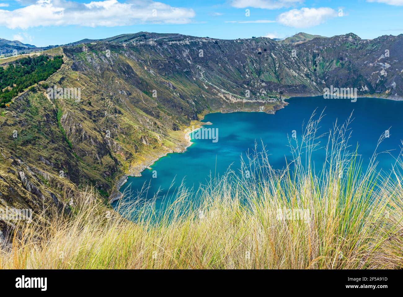 Erba delle Ande con la laguna del cratere vulcanico di Quilotoa sullo sfondo lungo l'escursione a Quilotoa Loop, regione di Quito, Ecuador. Mettere a fuoco sull'erba. Foto Stock