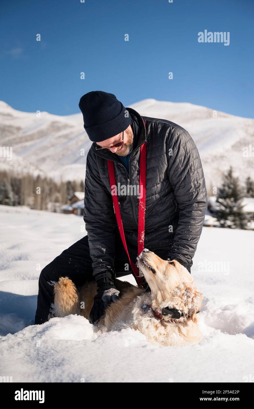 Uomo che gioca con Golden Retriever Dog in Snow on Sunny Giorno Foto Stock