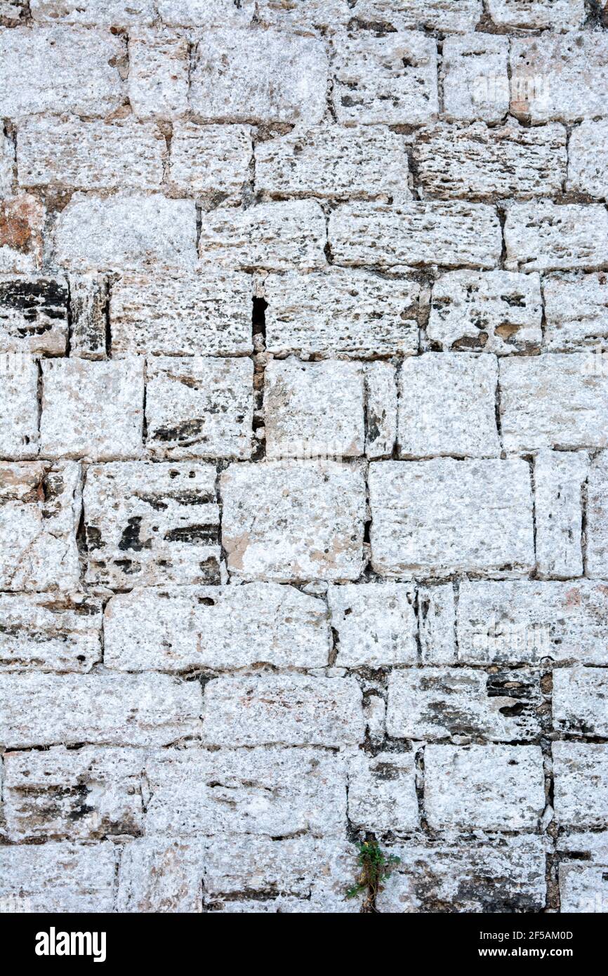 Immagine verticale di una parete bianca di mattone con un piccolo erba sul fondo del muro Foto Stock