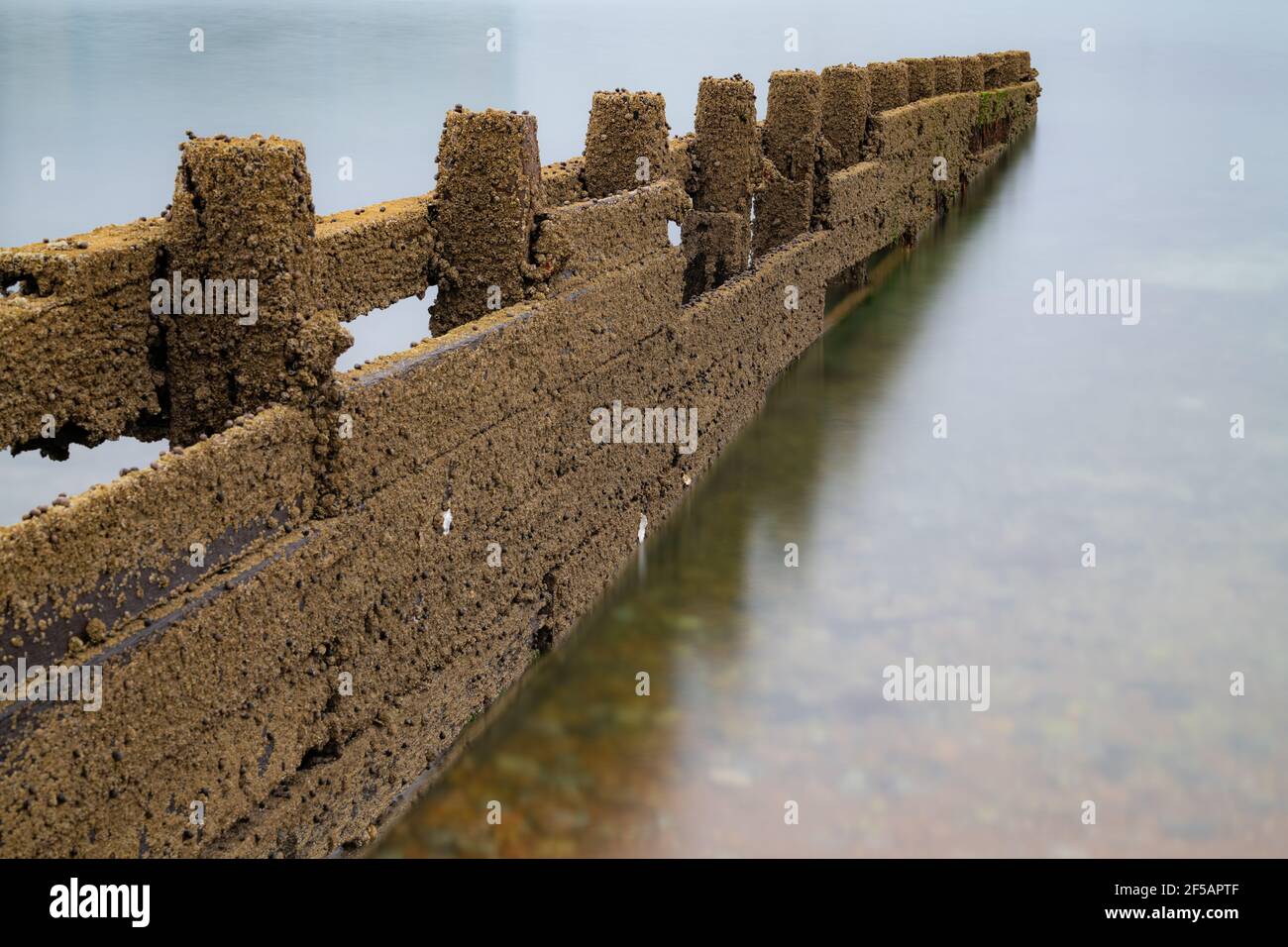 Barriera di legno vicino a Kingston, Ferring, East Sussex, Regno Unito Foto Stock