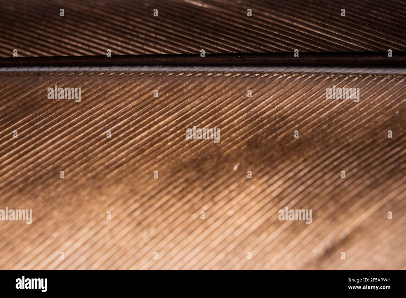 Parrot piuma macro texture, Blue macro piuma, piuma, animale, uccello, Regno Unito, Macaw, Blue e Purple Feathers Foto Stock