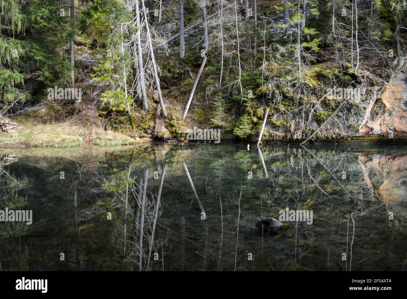 scogliere di arenaria sulla riva di un fiume forestale con un perfetto riflesso in acqua e conifere verdi sulla riva. Paesaggio primaverile Foto Stock