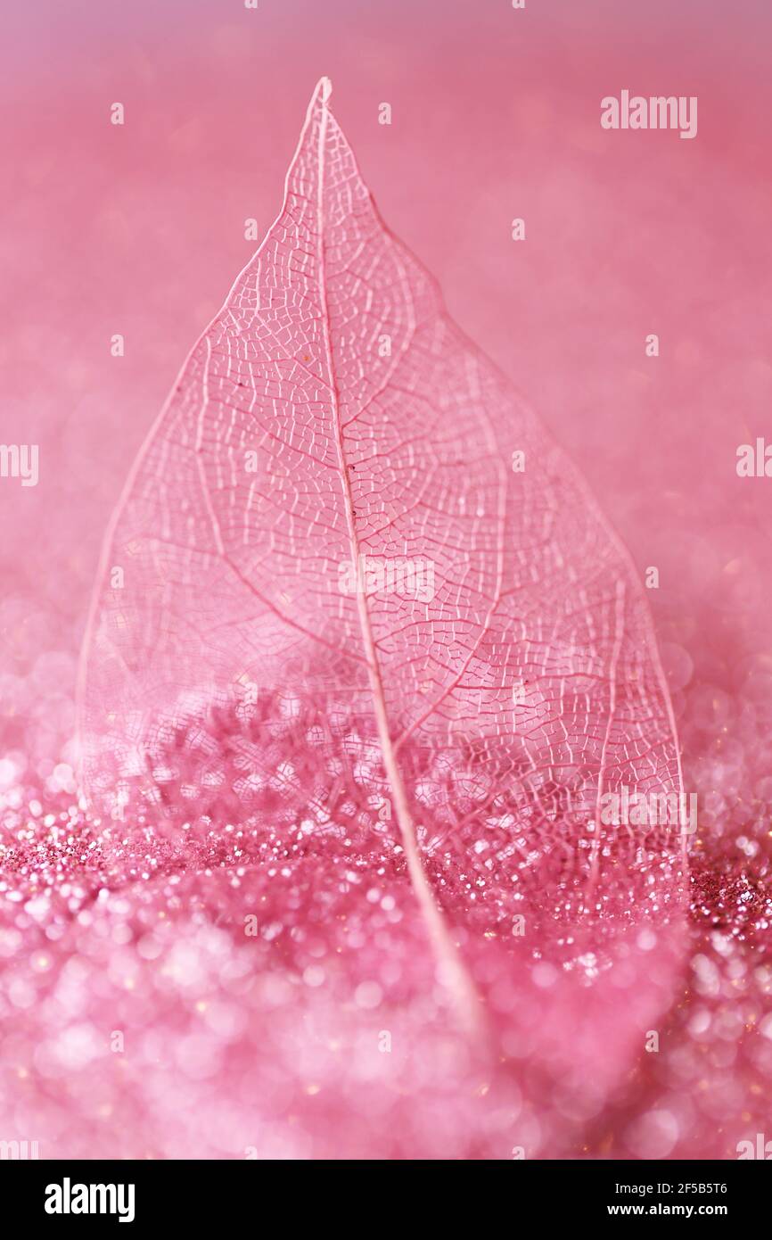 Sfondo rosa chiaro immagini e fotografie stock ad alta risoluzione - Alamy
