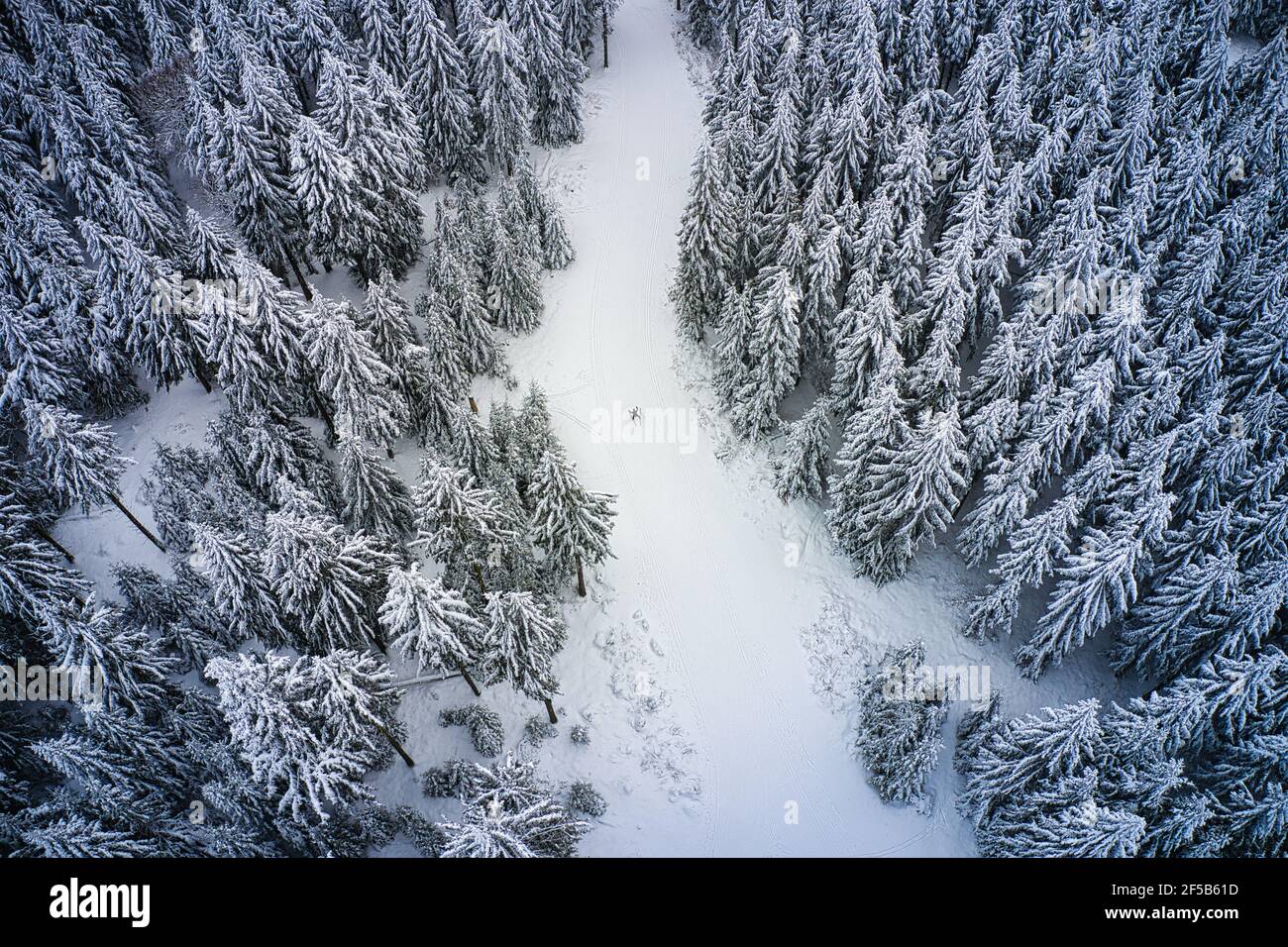 Luftaufnahme von Skilangläufern auf dem winterlichen Hohen Meißner Foto Stock