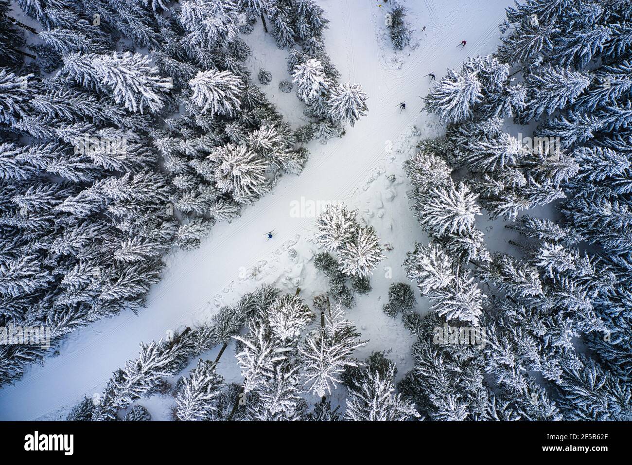 Luftaufnahme von Skilangläufern auf dem winterlichen Hohen Meißner Foto Stock