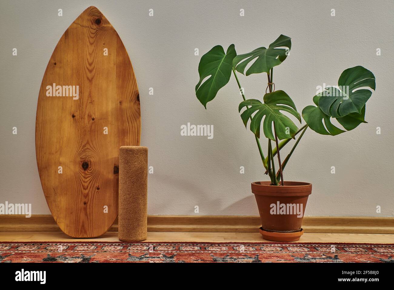 Tavola di bilanciamento in legno e una pianta monstera nel soggiorno. Foto Stock