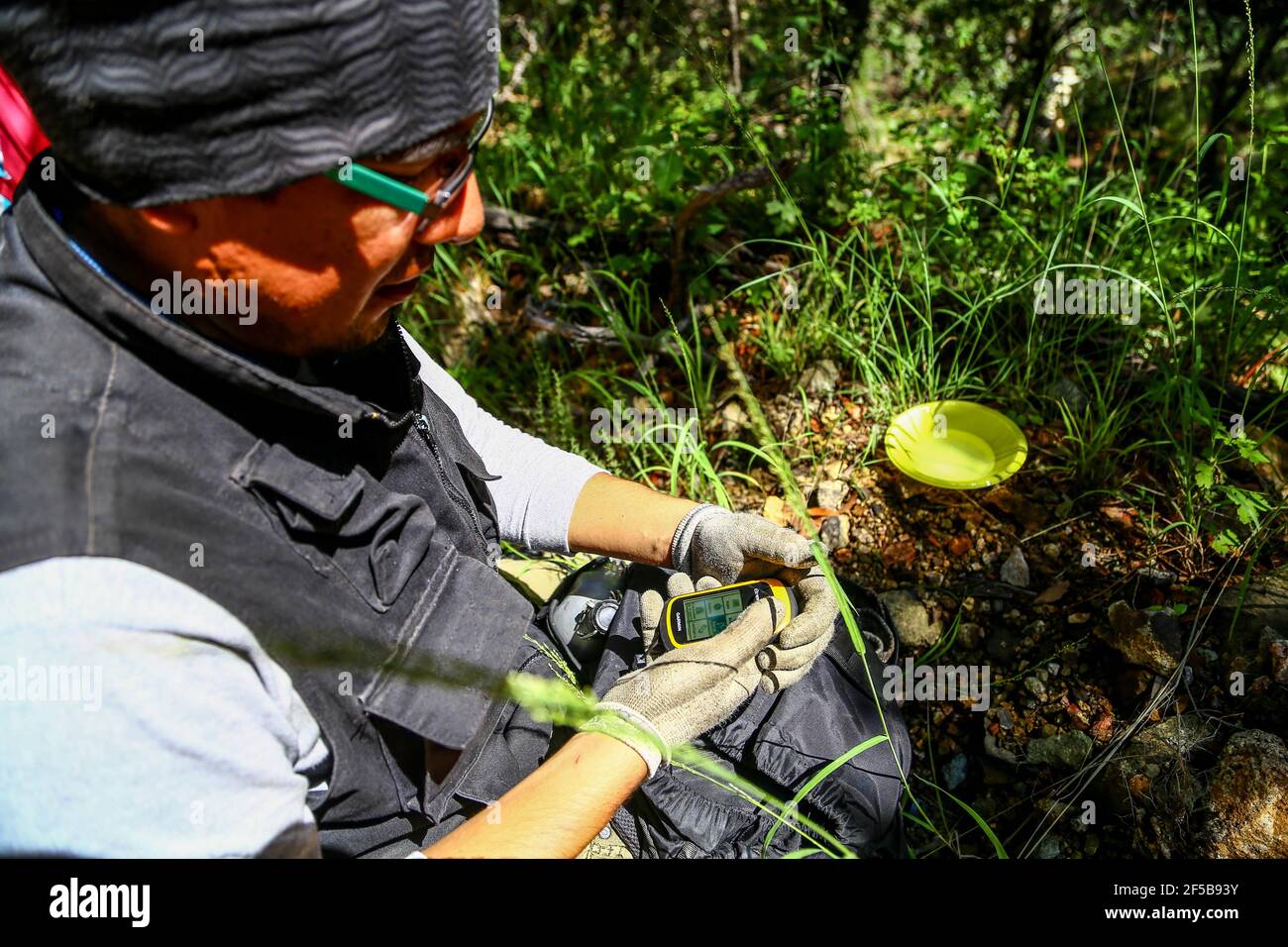 Diego Barrales especialista en Alacranes.Diego Barrales specialista in Scorpions. Poison Madrean Diversity Expeditions con la Comisiòn Nacional de Areas Naturales Protegidas, CONANP, en la Sierra del Tigre, Municipio de Nacozari, sonora. Messico. (CreditoFoto:LuisGutierrez NortePhoto.com) Foto Stock