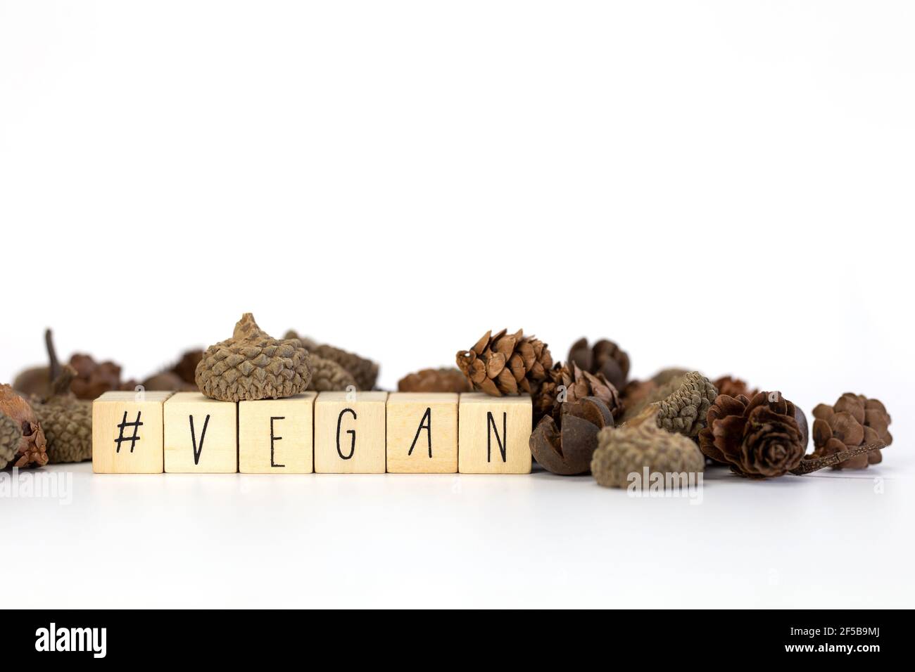 Vegan e hashtag scritto con cubetti di legno e decorazione della natura isolato su sfondo bianco con spazio di copia, vegan, vegetariano, concetto di salute Foto Stock