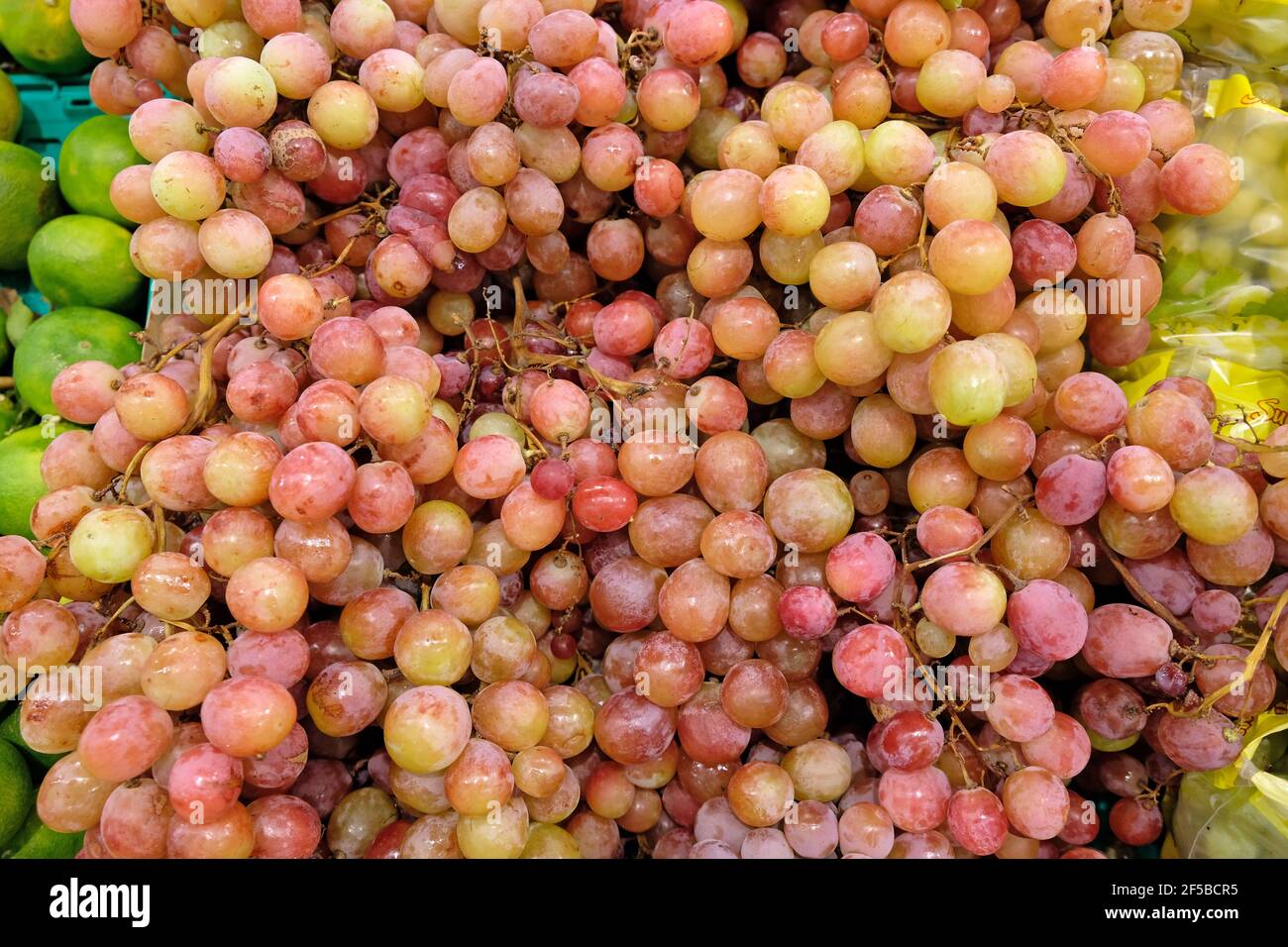 Grandi uve rosa sugli scaffali del negozio. Un grappolo di uva. Un primo piano con uve deliziose. Foto Stock