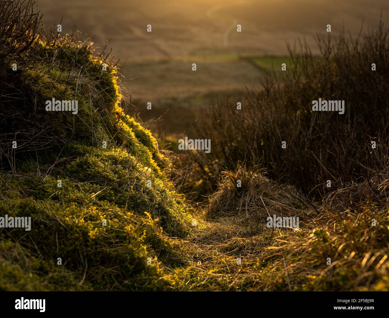 Tramonto a Baldstone, e rocce Gib Torr durante l'inverno nel Peak District National Park, Staffordshire, Regno Unito. Foto Stock