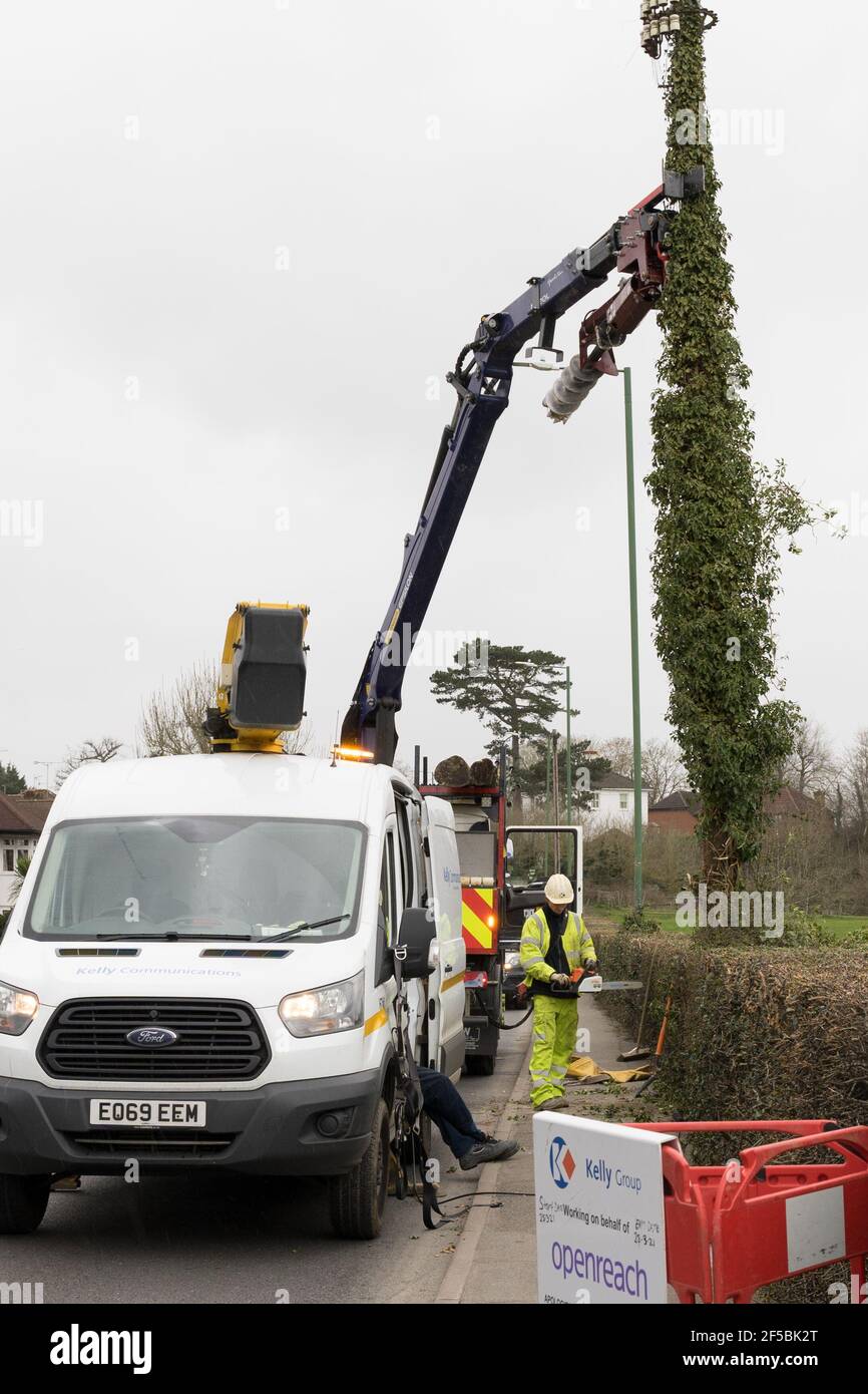 il tecnico di openreach usa la motosega per tagliare attraverso il vecchio palo del telegrafo da rimuovere Foto Stock
