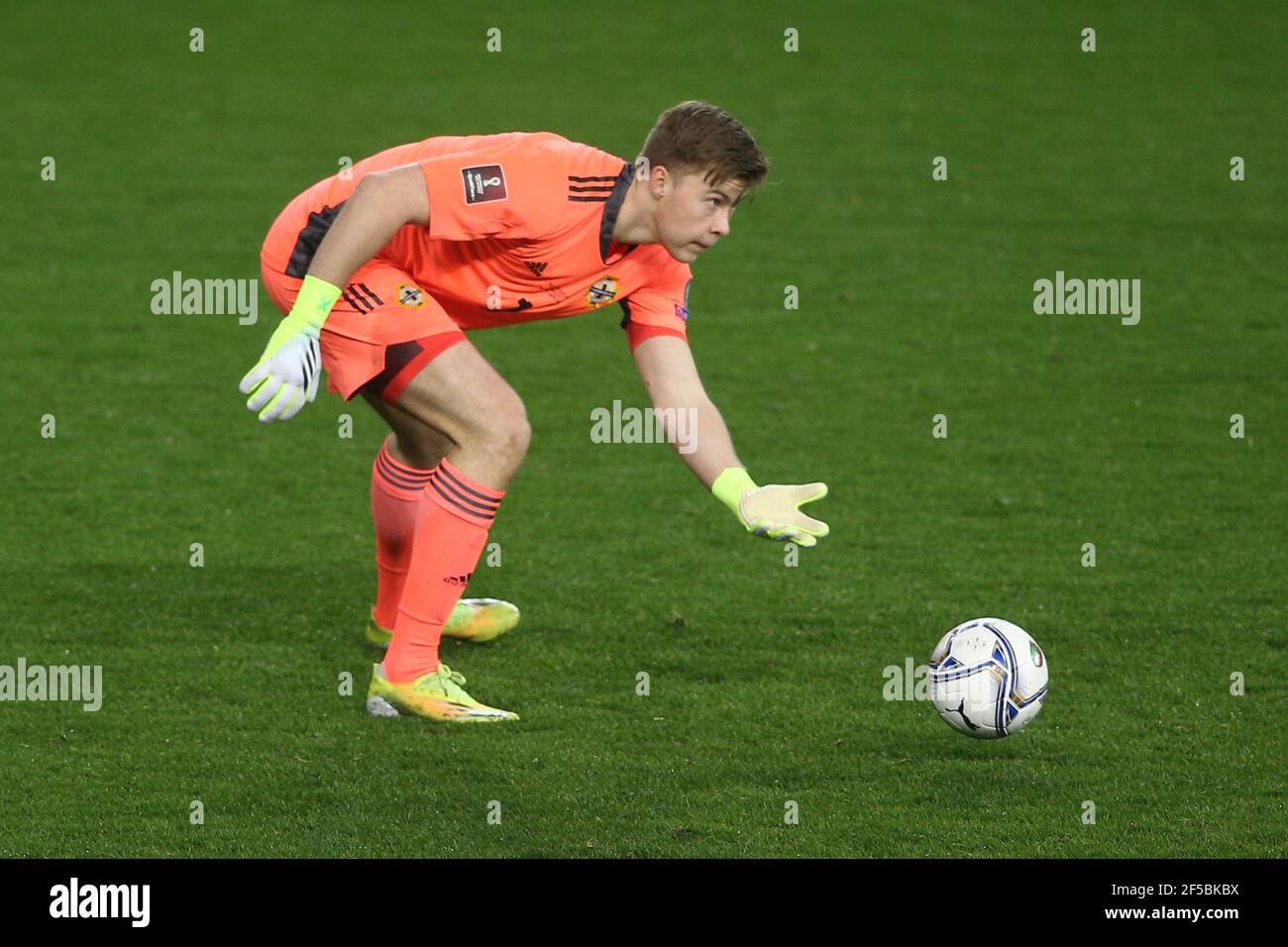Parma, Italia. 25 Marzo 2021. Parma, Italia 25.03.2021:Bailey Peacock-Farrell in azione durante le qualificazioni della partita Coppa del mondo FIFA Qatar 2022 Gruppo C tra Italia e Irlanda del Nord nello stadio Ennio Tardini di Parma. Credit: Agenzia fotografica indipendente/Alamy Live News Foto Stock