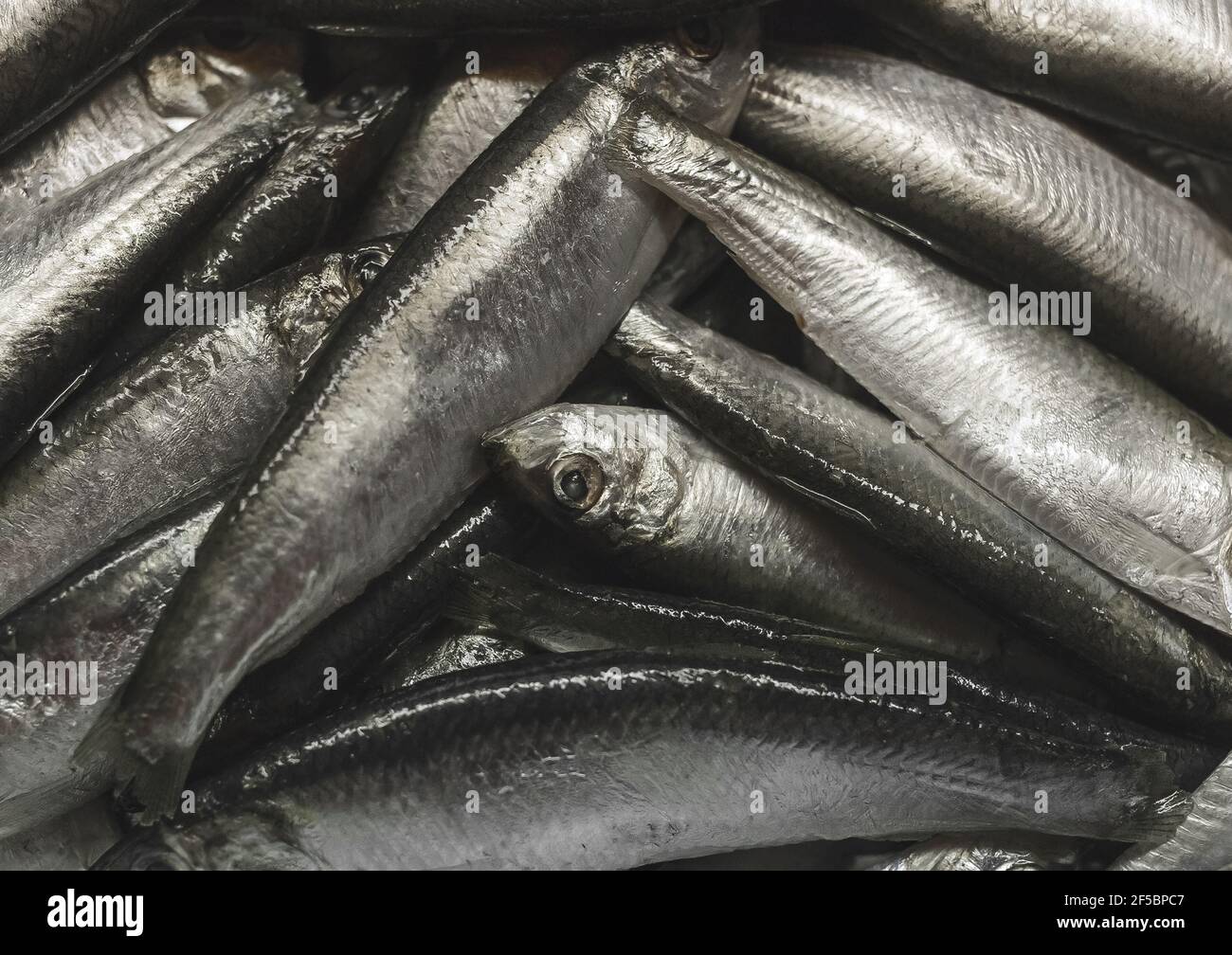 Mucchio di aringhe di pesce piccolo o sfondo di spratto, primo piano. Foto Stock