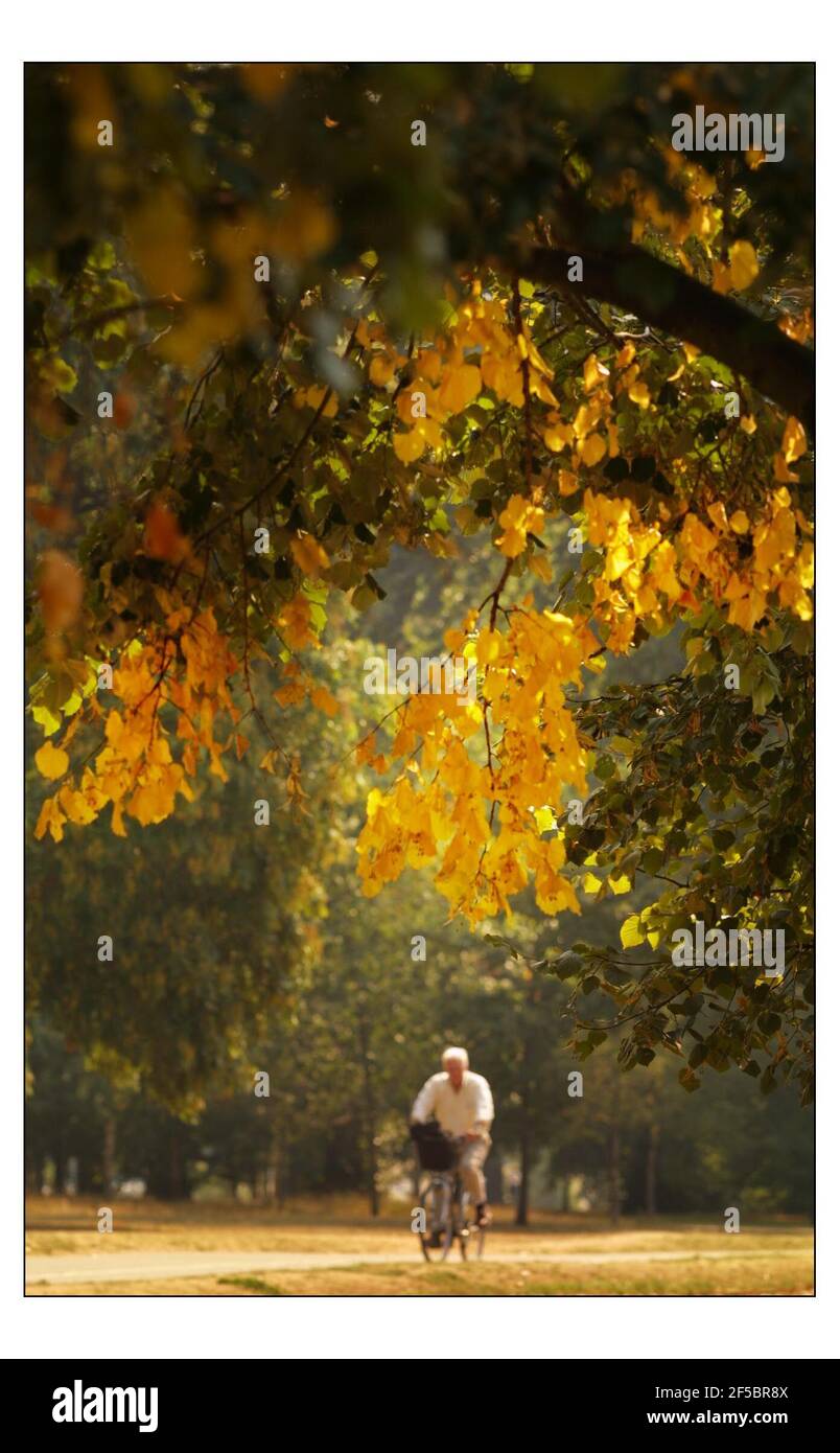 Hyde Park.....Tres stanno girando ai loro colori autunnali presto dalla mancanza di pioggia e il calore degli ultimi months.pic David Sandison 4/9/2003 Foto Stock