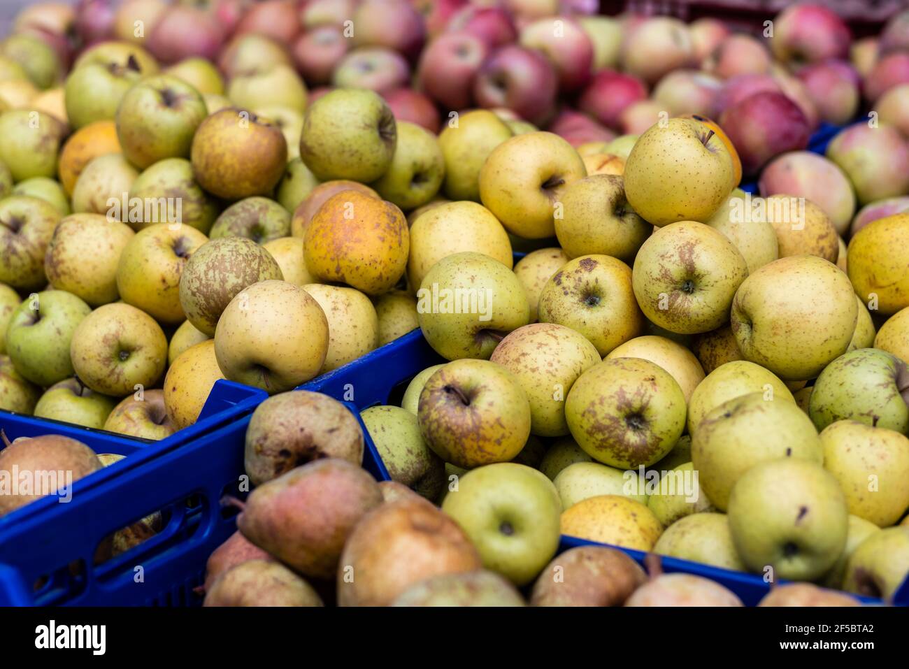 VIC mercato settimanale, prodotti freschi e biologici, mele, Barcellona, Catalogna, Spagna. Foto Stock