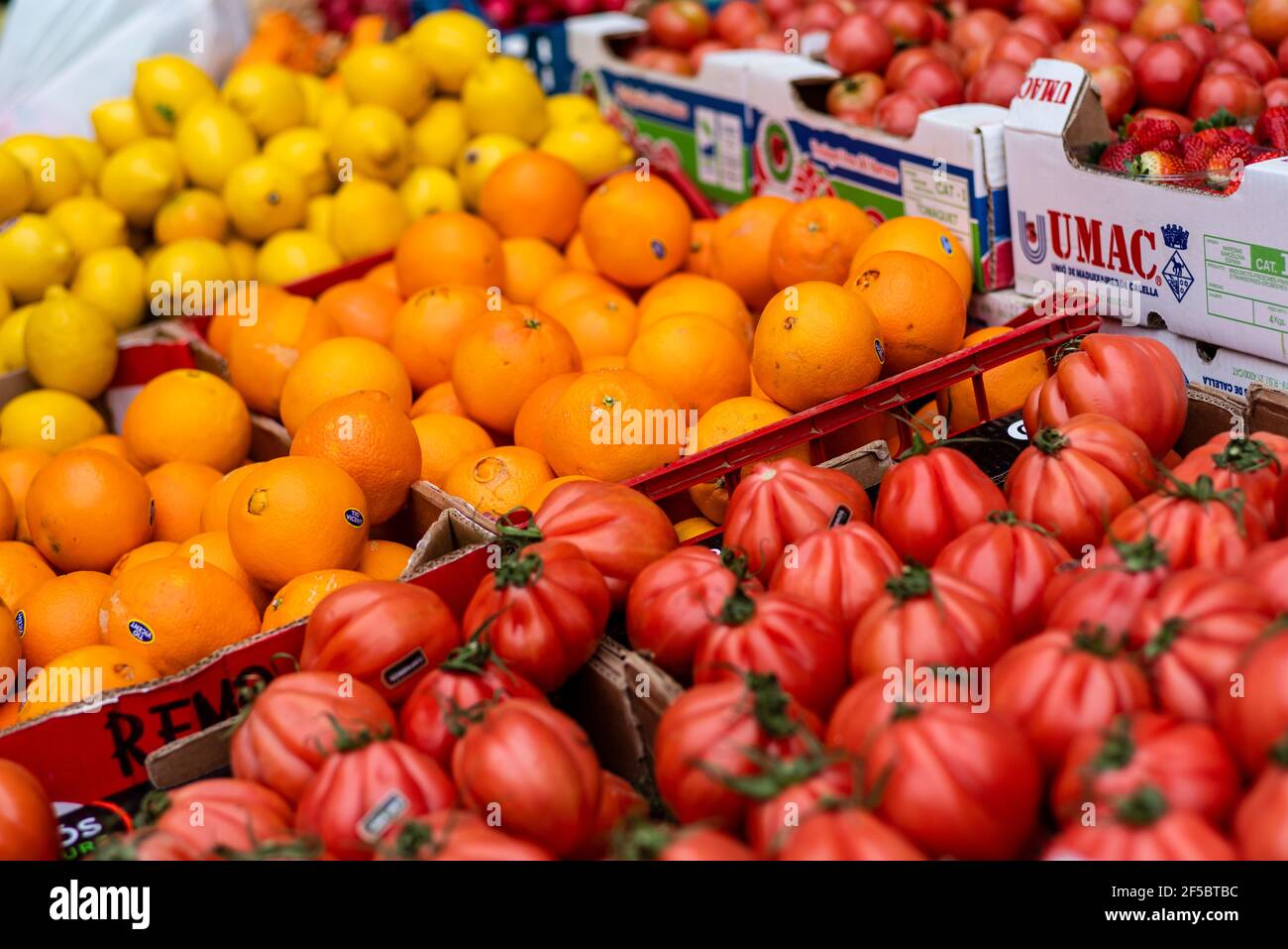 VIC mercato settimanale, prodotti freschi e biologici, ortaggi biologici, Barcellona, Catalogna, Spagna. Foto Stock