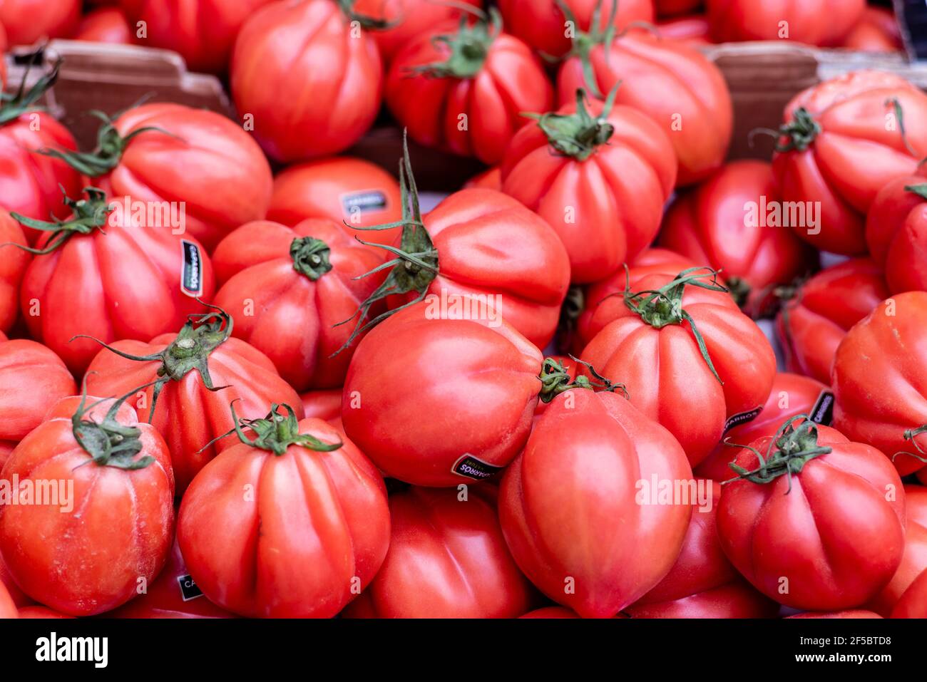 VIC mercato settimanale, prodotti freschi e biologici, pomodori, Barcellona, Catalogna, Spagna. Foto Stock