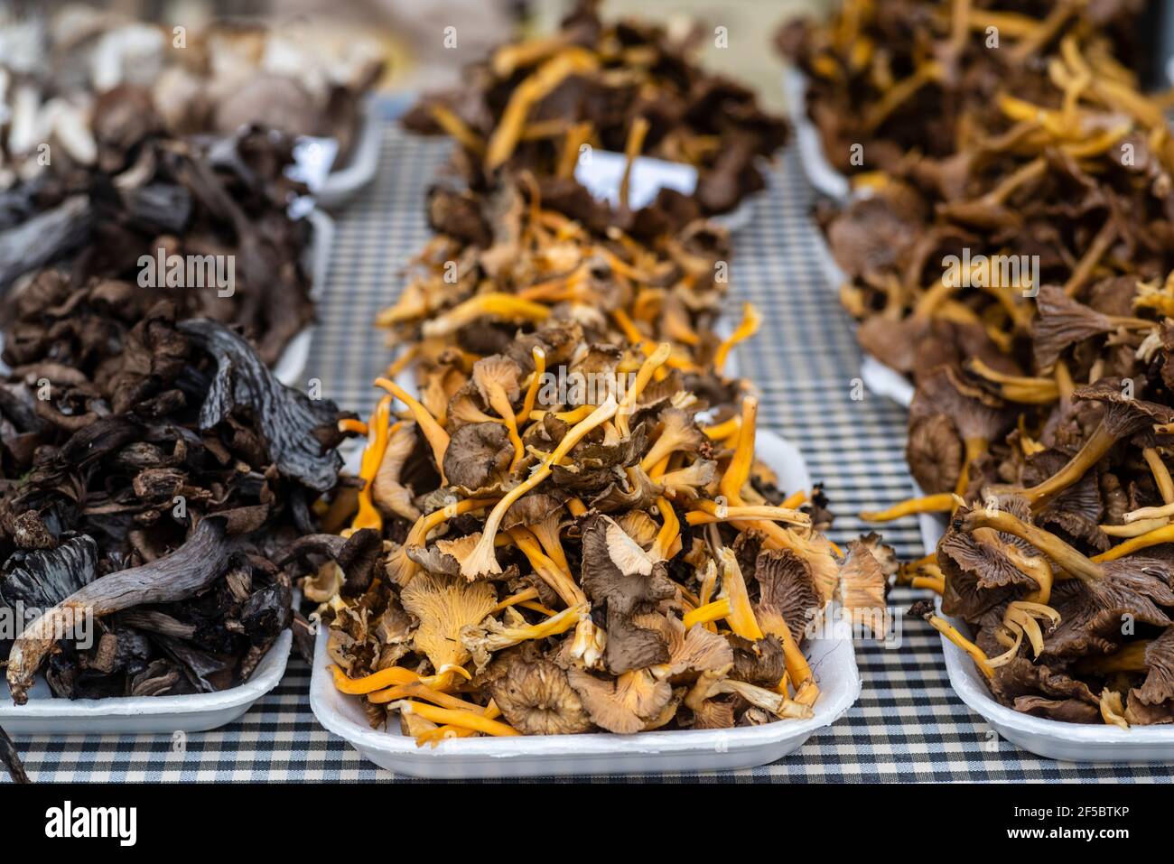 VIC mercato settimanale, prodotti freschi e biologici, Barcellona, Catalogna, Spagna. Foto Stock