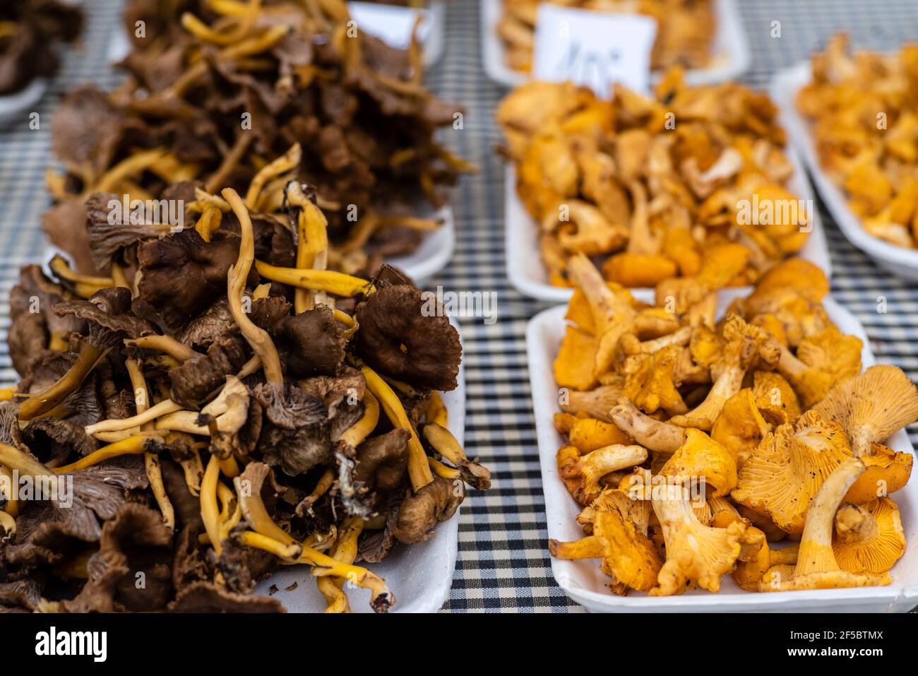 VIC mercato settimanale, prodotti freschi e biologici, chanterelle d'oro (Cantharellus cibarius), Barcellona, Catalogna, Spagna. Foto Stock