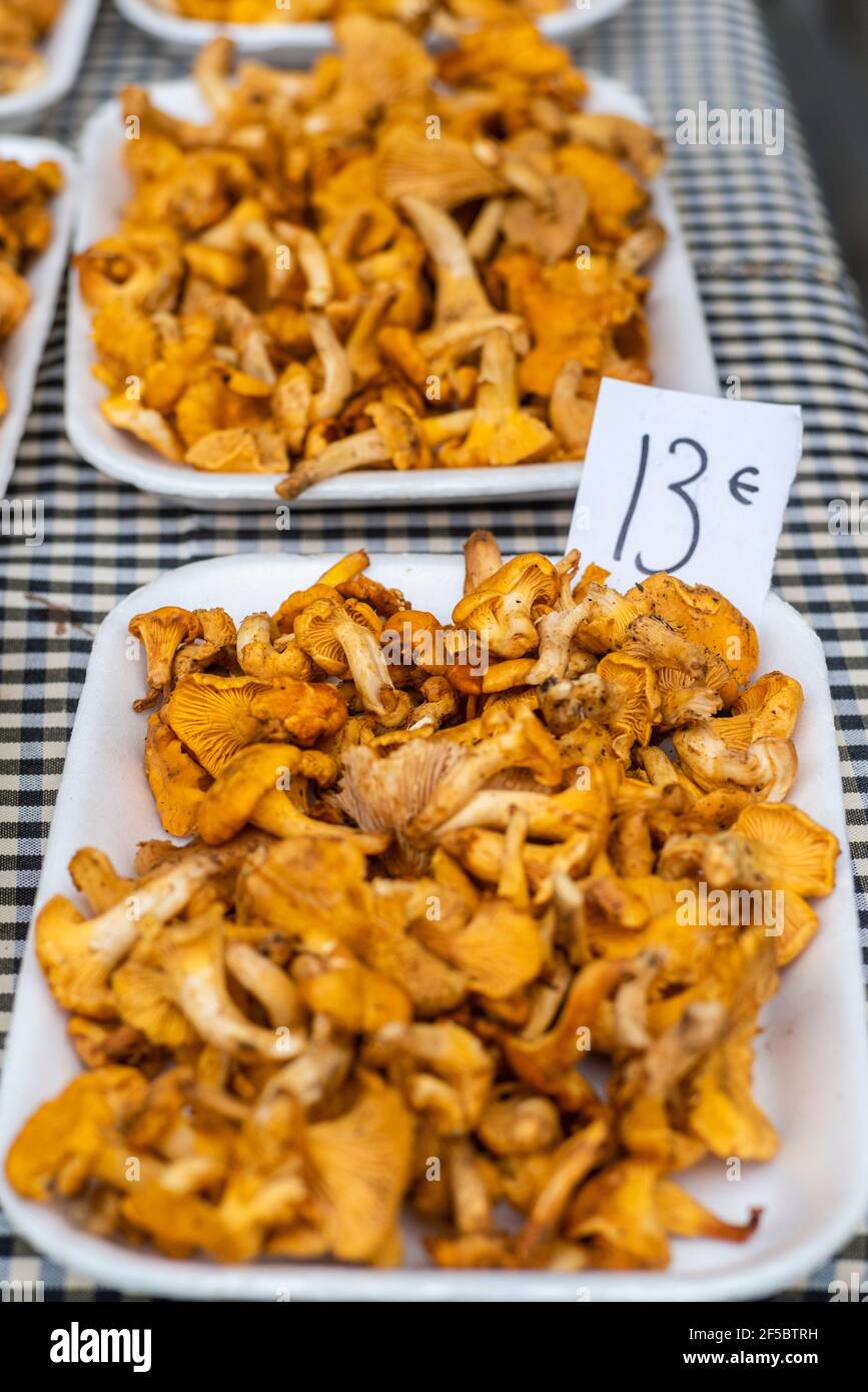 VIC mercato settimanale, prodotti freschi e biologici, chanterelle d'oro (Cantharellus cibarius), Barcellona, Catalogna, Spagna. Foto Stock