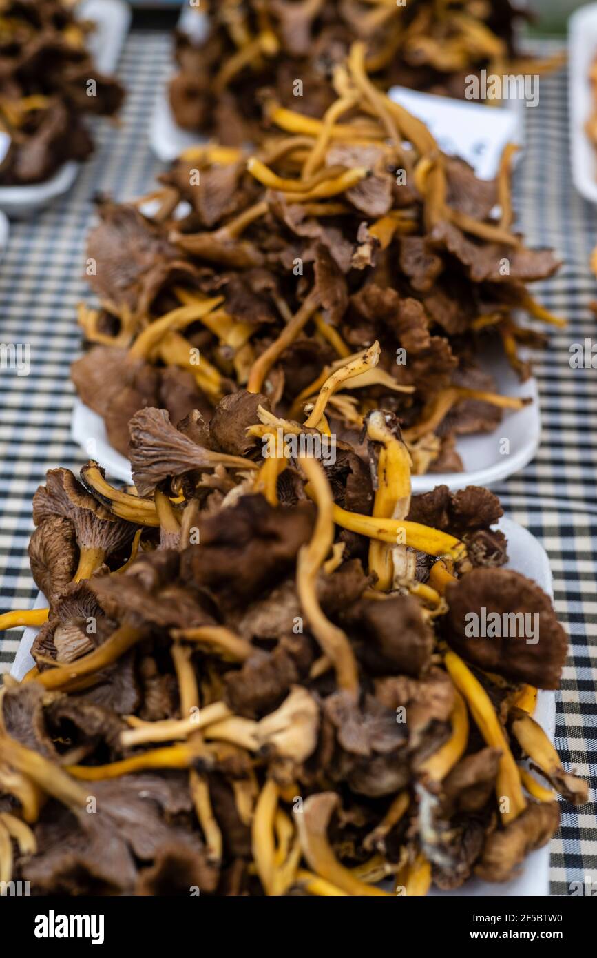 VIC mercato settimanale, prodotti freschi e biologici, Barcellona, Catalogna, Spagna. Foto Stock