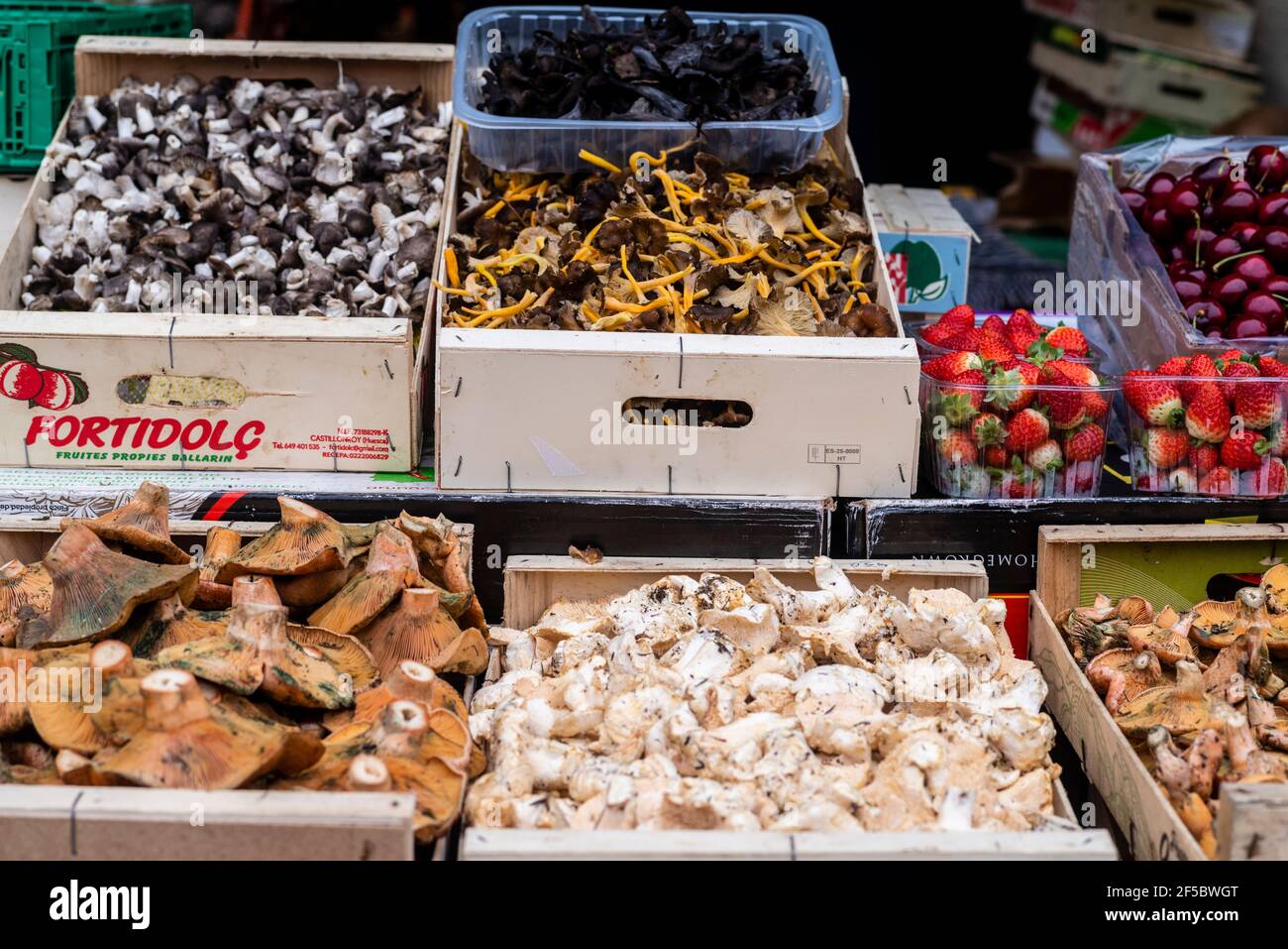 VIC mercato settimanale, prodotti freschi e biologici, Barcellona, Catalogna, Spagna. Foto Stock