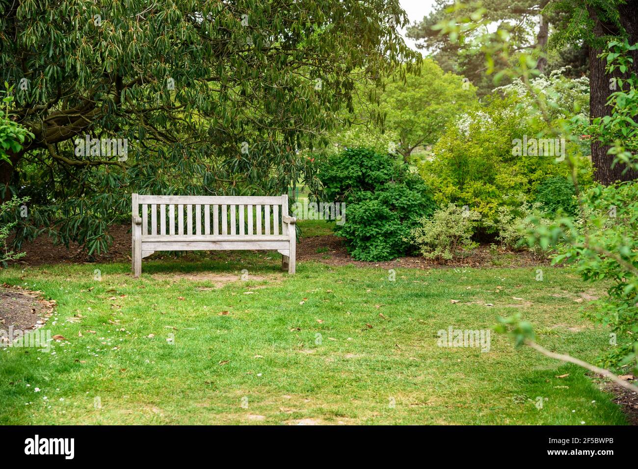 Panca di legno vuota in un'area ombreggiata nel parco pubblico in primavera. Concetto di solitudine. Foto Stock