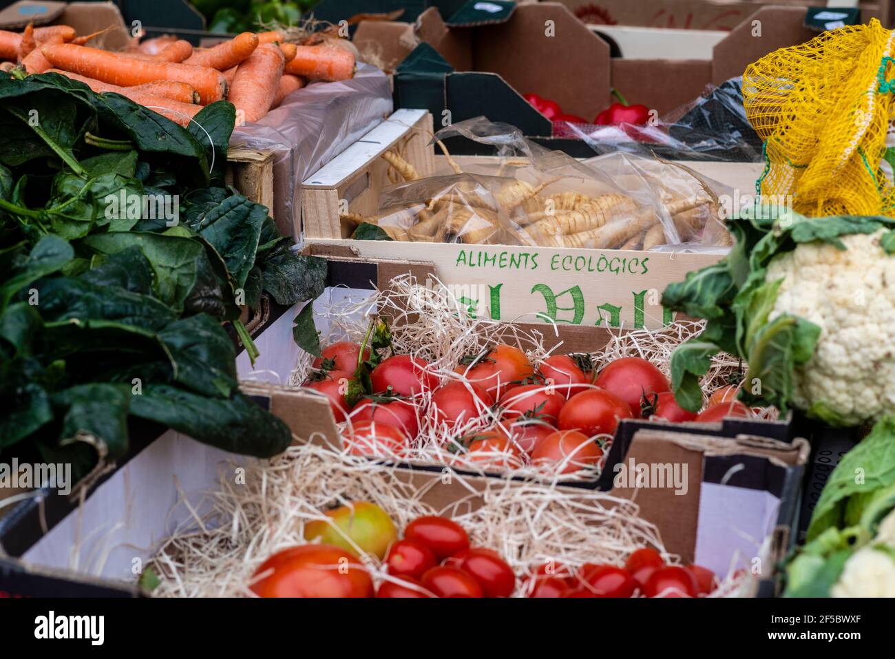 VIC mercato settimanale, prodotti freschi e biologici, ortaggi biologici, Barcellona, Catalogna, Spagna. Foto Stock