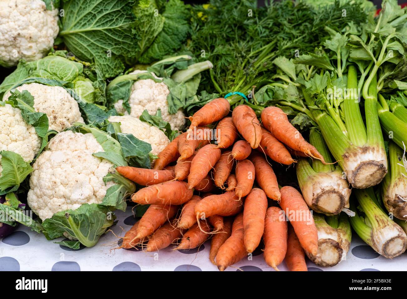 VIC mercato settimanale, prodotti freschi e biologici, ortaggi biologici, Barcellona, Catalogna, Spagna. Foto Stock