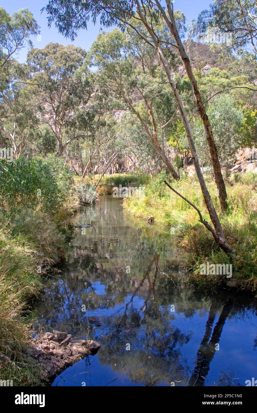 Il fiume Torrens ai piedi delle colline di Adelaide Foto Stock