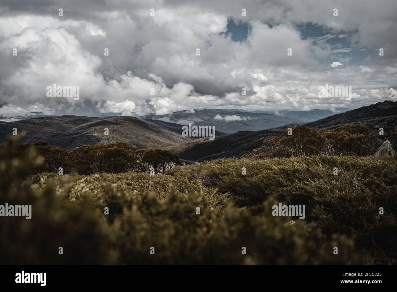 Vista sulle montagne ondulate vista dal Dead Horse Gap Sentiero per passeggiate nel Parco Nazionale di Kosciuszko Foto Stock