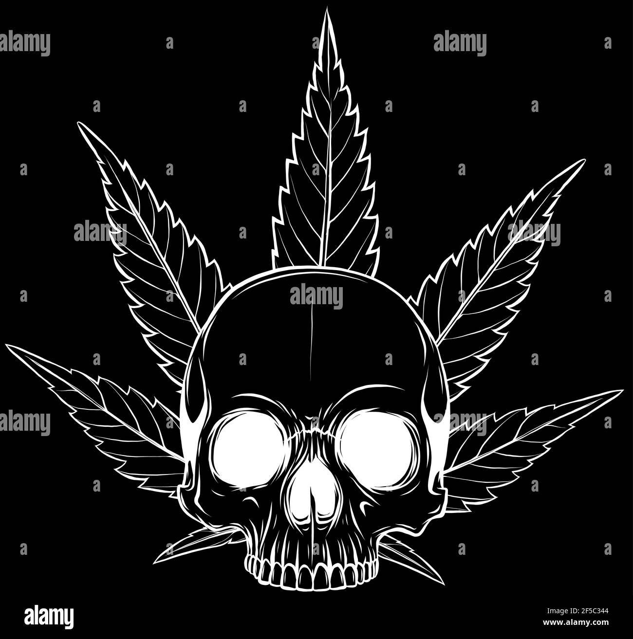 sagoma bianca del cranio con foglie di marijuana testa illustrazione Illustrazione Vettoriale sagoma bianca del cranio con foglie di marijuana testa illustrazione Illustrazione Vettoriale
