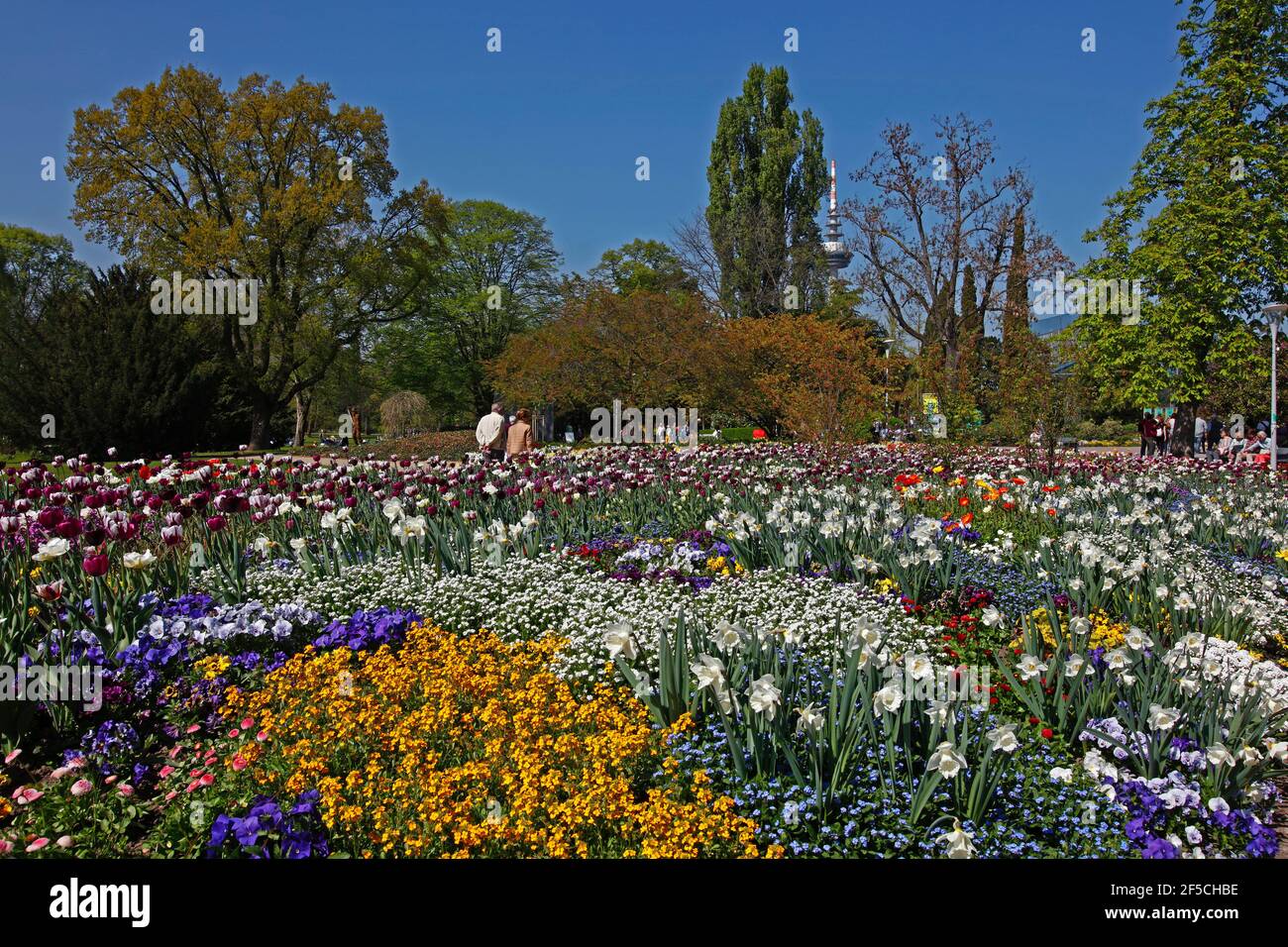 Geografia / viaggio, Germania, Baden-Wuerttemberg, GER, Baden-Wuerttemberg, Mannheim, Luisenpark, Upper , Additional-Rights-Clearance-Info-not-available Foto Stock