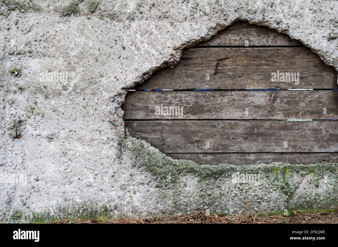 Calcestruzzo e vecchie tavole di legno. Un foro in una recinzione grigia con bordi irregolari è stato patchato con le tavole. Attraverso le fessure tra le barre. Muschio su un cemento Foto Stock