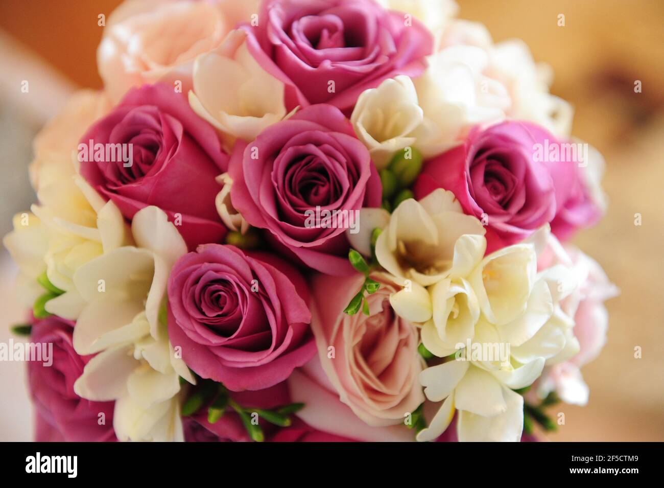 Primo piano di un bouquet di nozze di ciclamini e rose rosa con delicate freesie bianche, vivace arrangiamento floreale per un'occasione speciale Foto Stock
