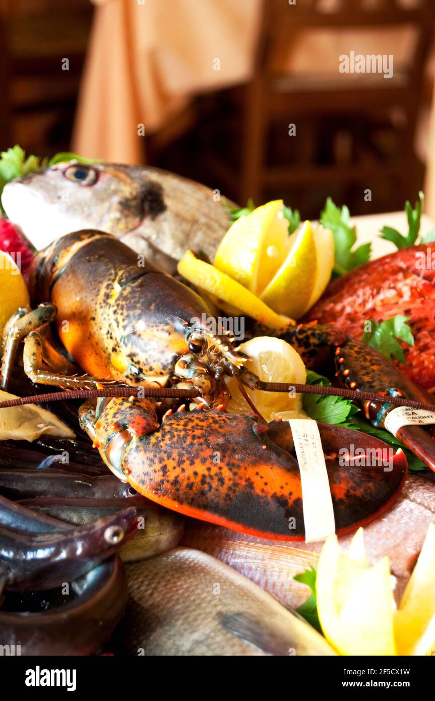 miscela di pesce fresco e crostacei crudi, aragosta, scampi, orate di mare Foto Stock