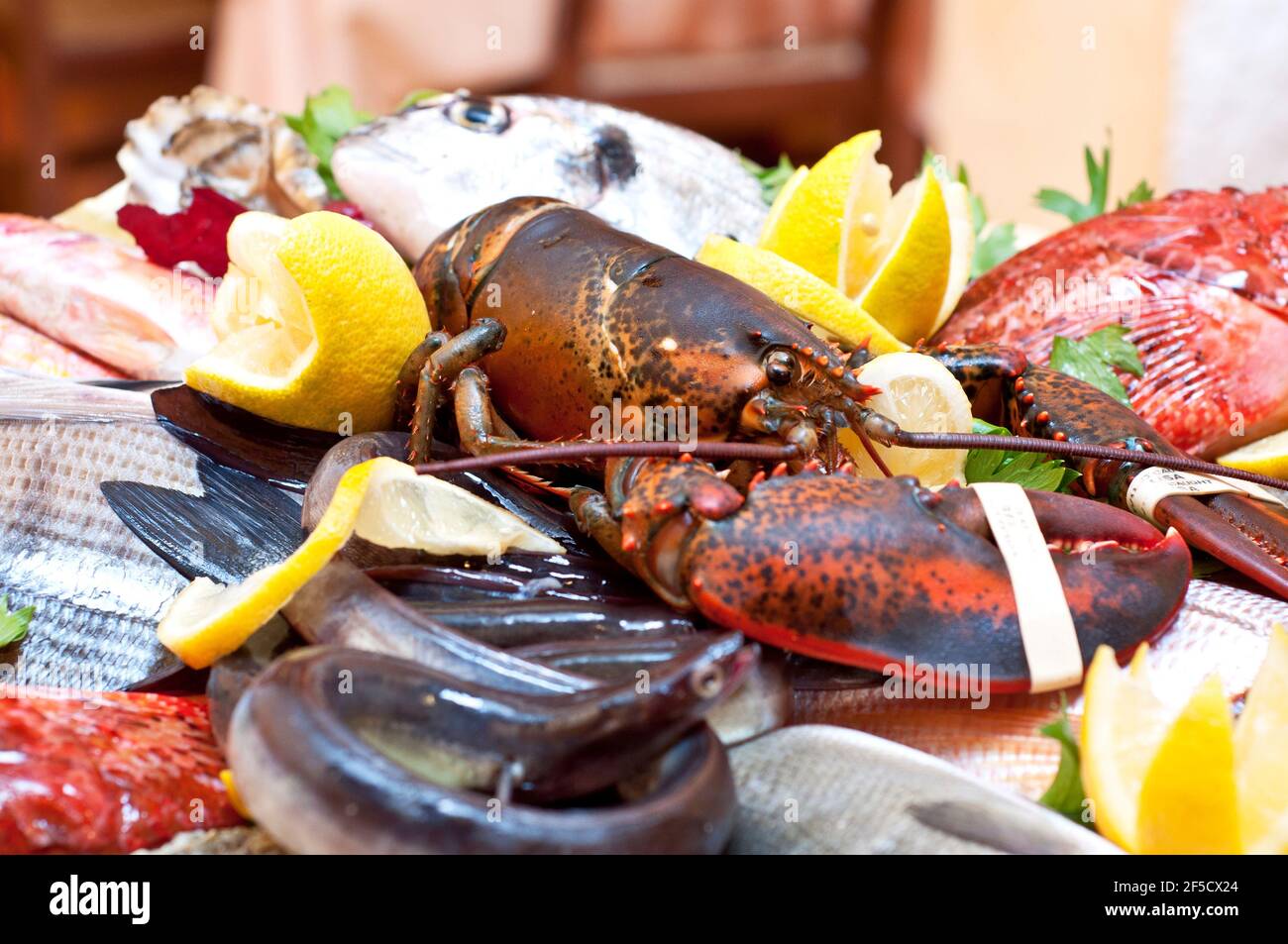 miscela di pesce fresco e crostacei crudi, aragosta, scampi, orate di mare Foto Stock