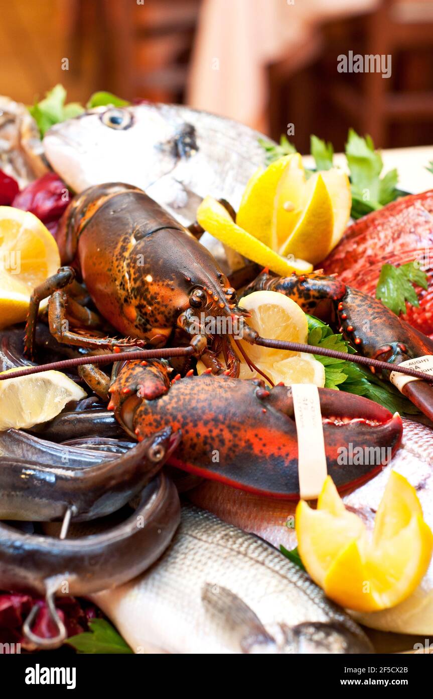 miscela di pesce fresco e crostacei crudi, aragosta, scampi, orate di mare Foto Stock