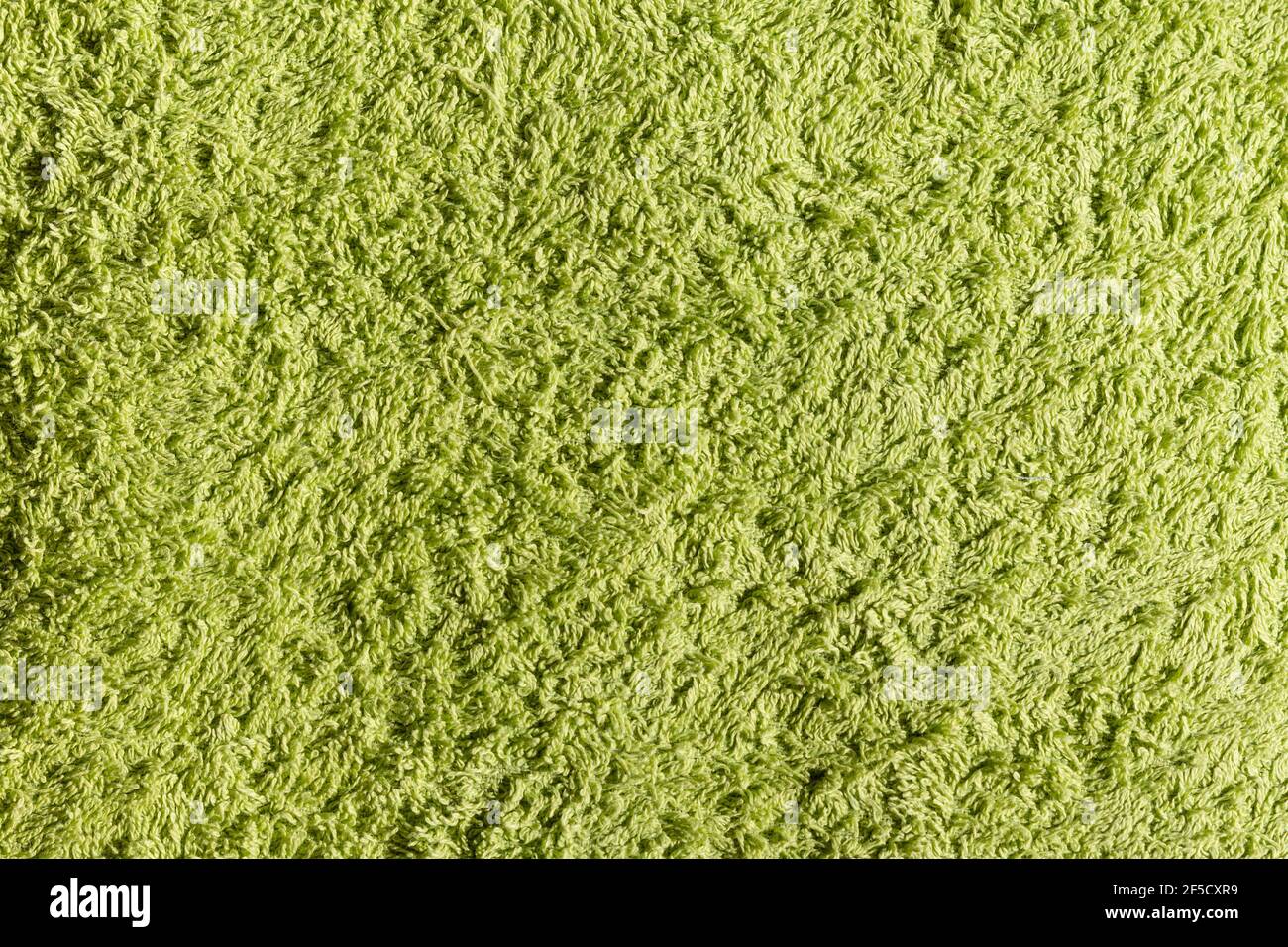 carta da bagno verde con fondo testurizzato, spazio vuoto per il testo Foto Stock