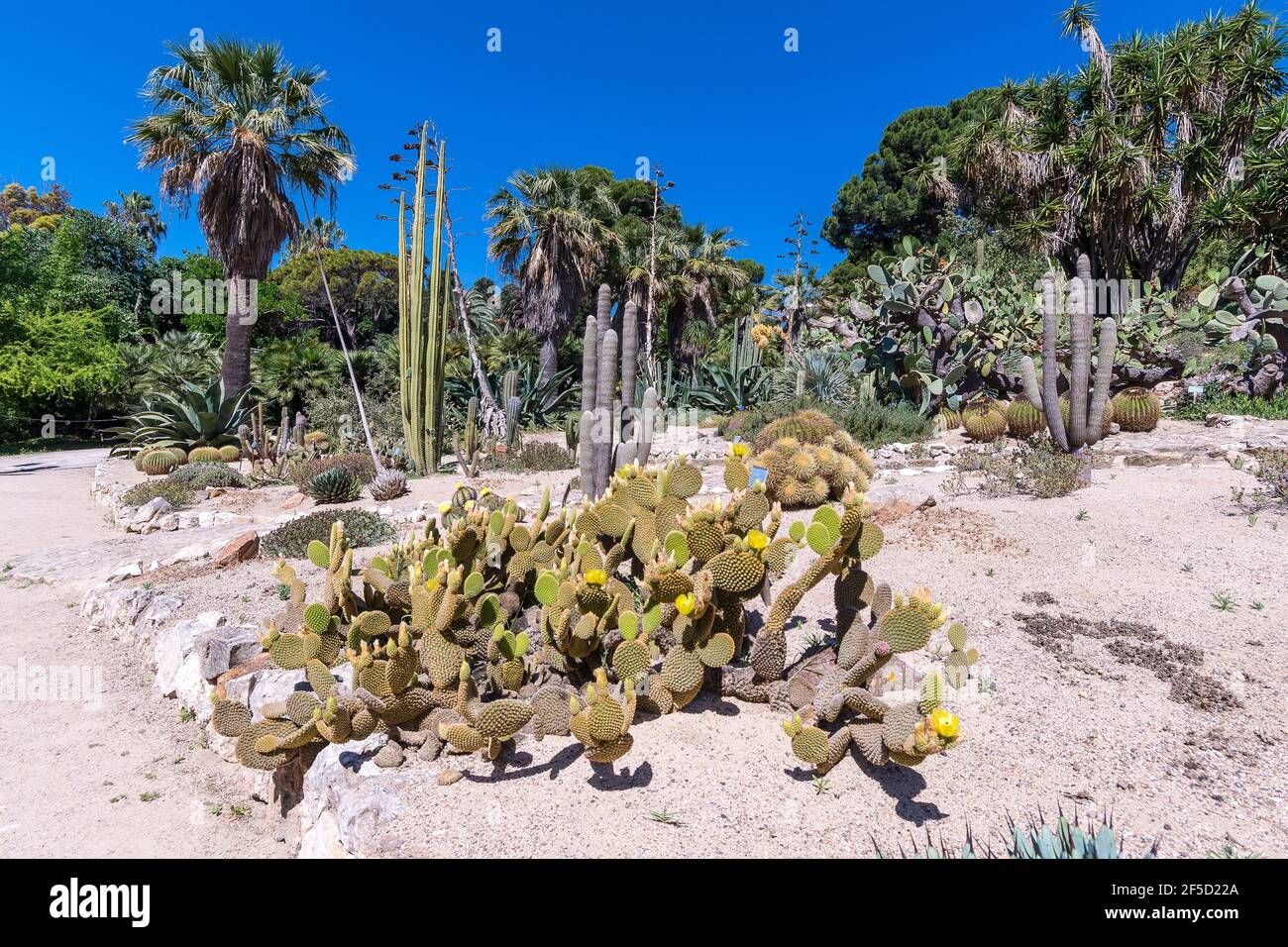 Orto botanico di Cagliari, Sardegna Foto Stock