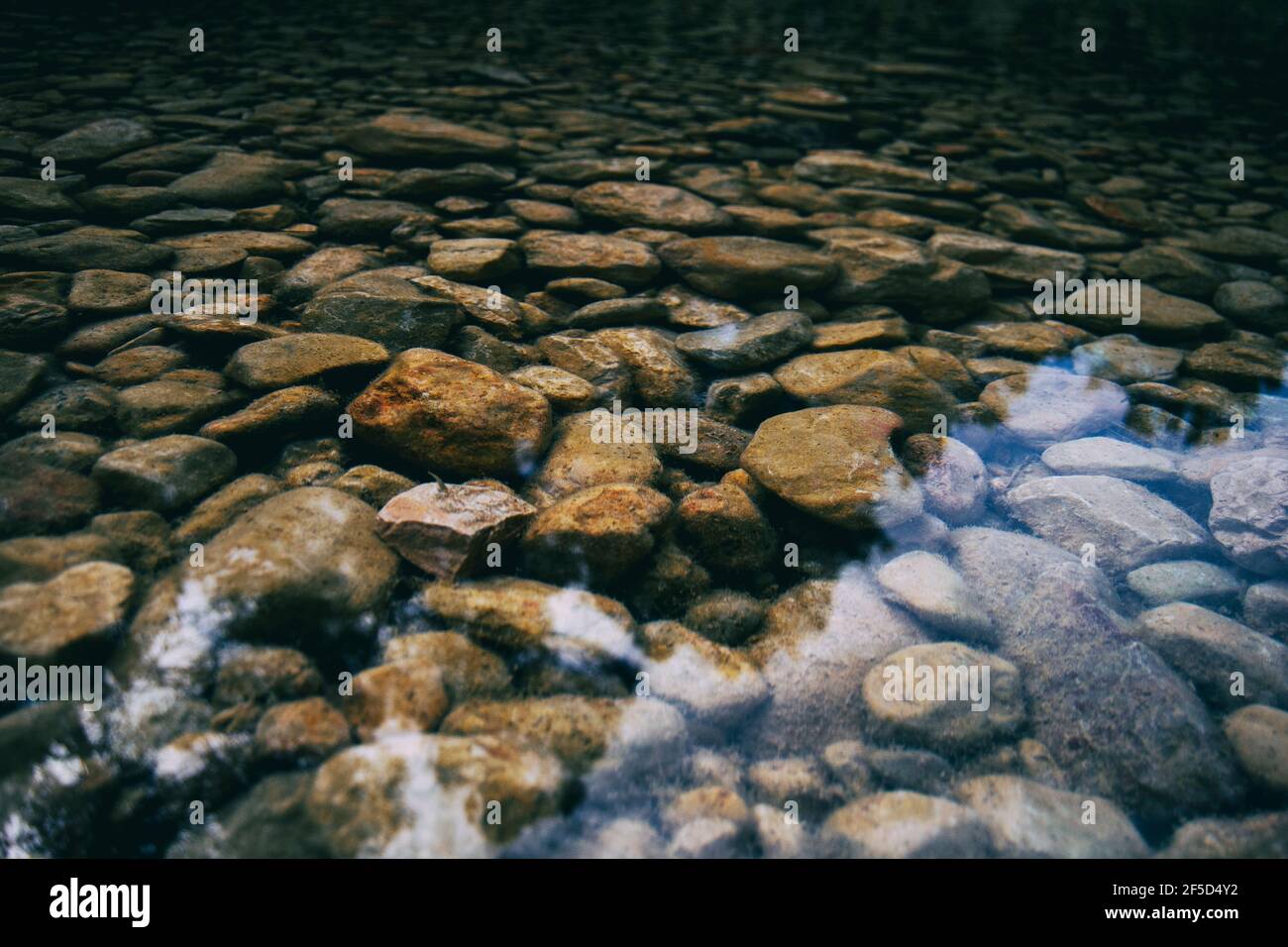 calmo ruscello con molte pietre sul percorso, circondato da una foresta molto verde in catalogna, spagna Foto Stock