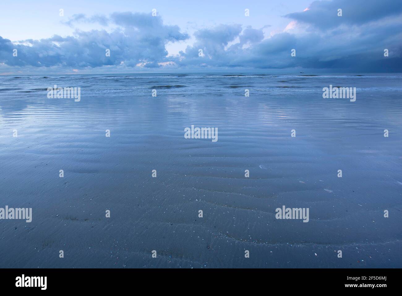 Spiaggia sulla costa belga, Belgio, Fiandre Occidentali, Nieuwpoort Foto Stock
