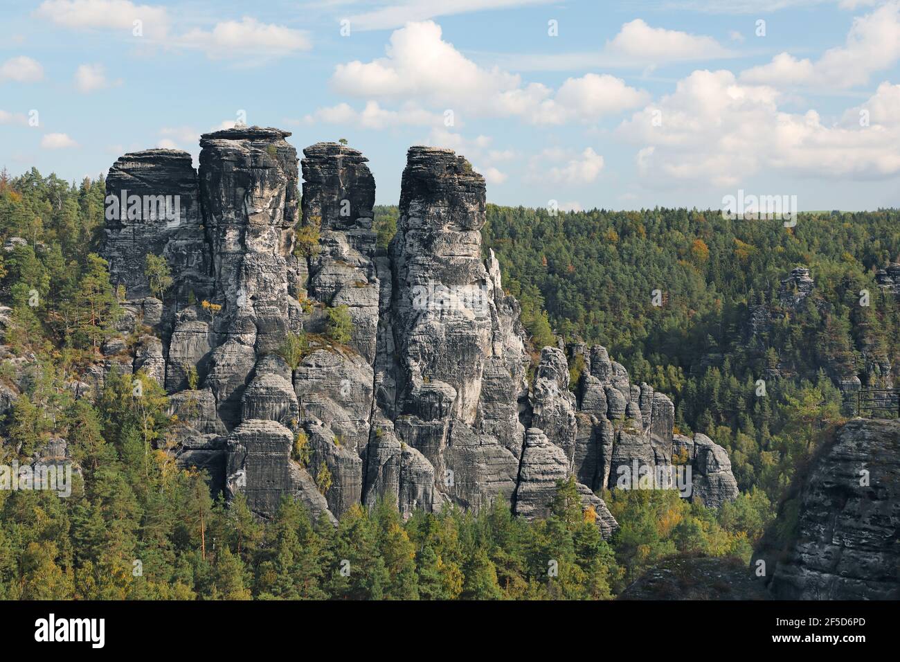 Formazione rocciosa Grosse Gans (grande oca) al Bastei, Germania, Sassonia, Saxon Svizzera Parco Nazionale, Rathen Foto Stock