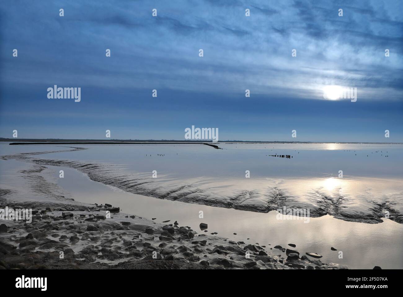 Mare di wadden con la via d'acqua al mare di Noth al tramonto vicino porto di Holwerd, Paesi Bassi, Frisia Foto Stock